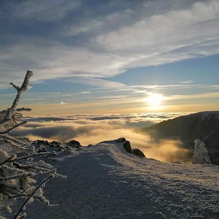 Апартаменты Chamois D'Or Ideal 2 Familles, Amis 9 Personnes Proche De Gerardmer Granges-sur-Vologne Экстерьер фото